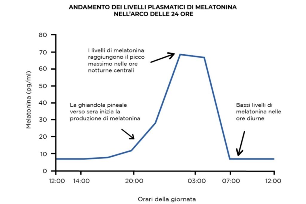 Melatonina